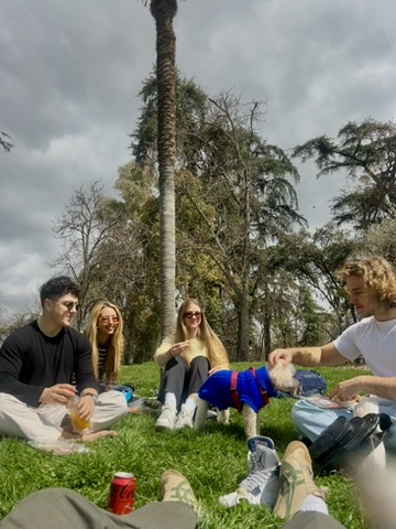 Friends and a dog in the park
